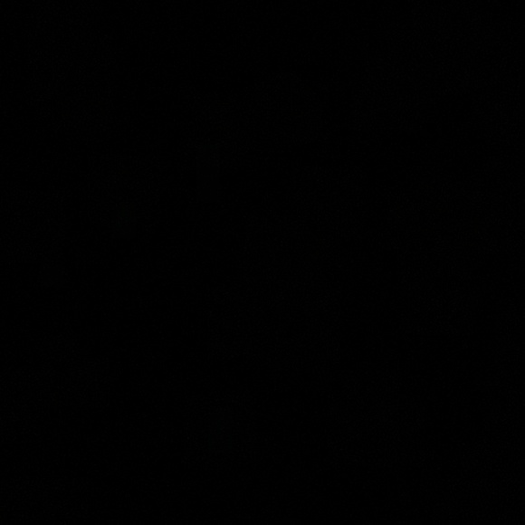 Meet your Posher, Jane - Picture 1 of 1